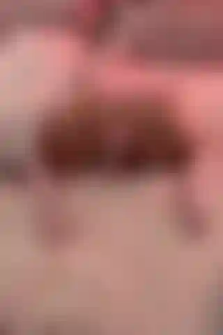 A cute little bunny and her hopping toy