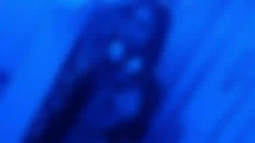 Stip no banheiro do avião.