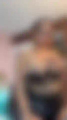 Ice to lower the heat