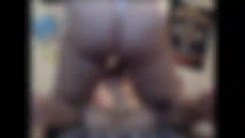 Sling shot ride - vídeo personalizado onde estou usando um biquíni estilingue, um presente deles, e cavalgando meu brinquedo favorito até gozar. Nunca esqueço de lamber ele limpo logo depois... Não hd.