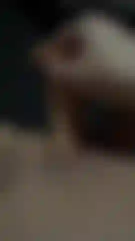 Uma boceta e um vibrador.