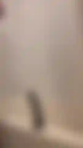 Diversão no banheiro.