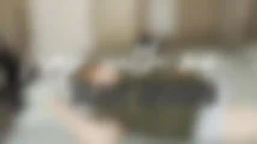 take a nap with me and watch as I toss and turn and snore heavily.