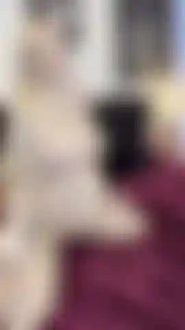 PREGGO Double Trouble DILDO Tease Sissy BOY Training Under My Control