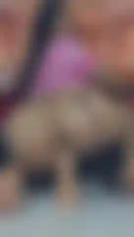 Uma bunda que engole.