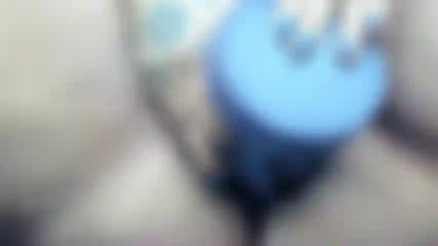 Brinquedo hentai estraga meu gatinho !!!