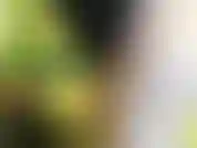 Sacudir minha bunda fazendo-a bater palmas e apenas provocar você com isso fará com que você goze com tanta força.