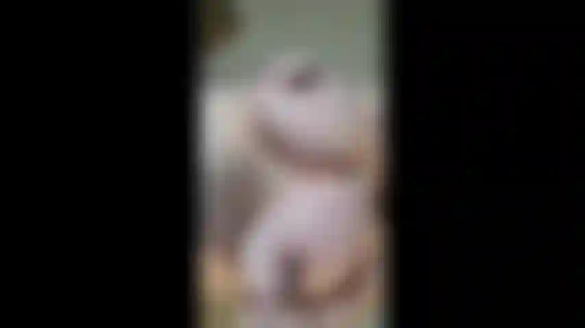 Grampos em meus mamilos duros fecham e se masturbam.