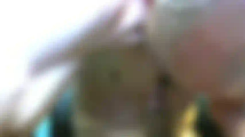 Lambendo e bombeando esse longo pau.