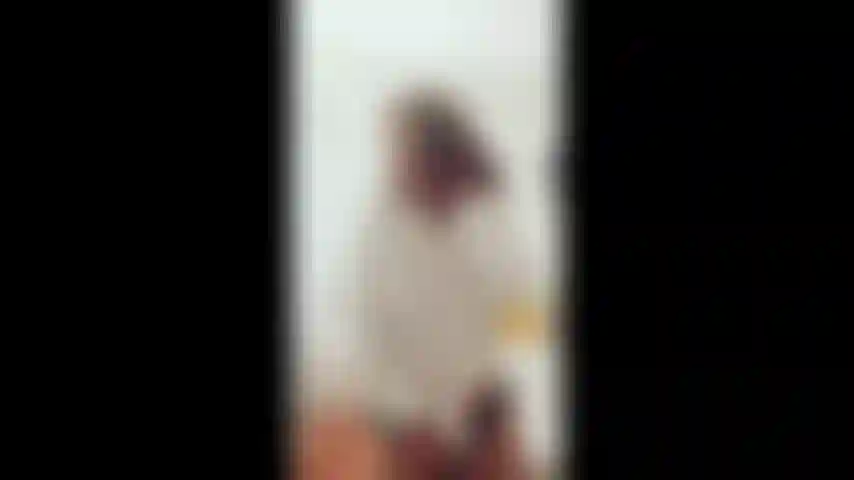 Nosbelo dia com sessão de striptease!