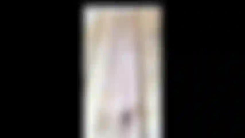 Galo bloqueio roteiro.