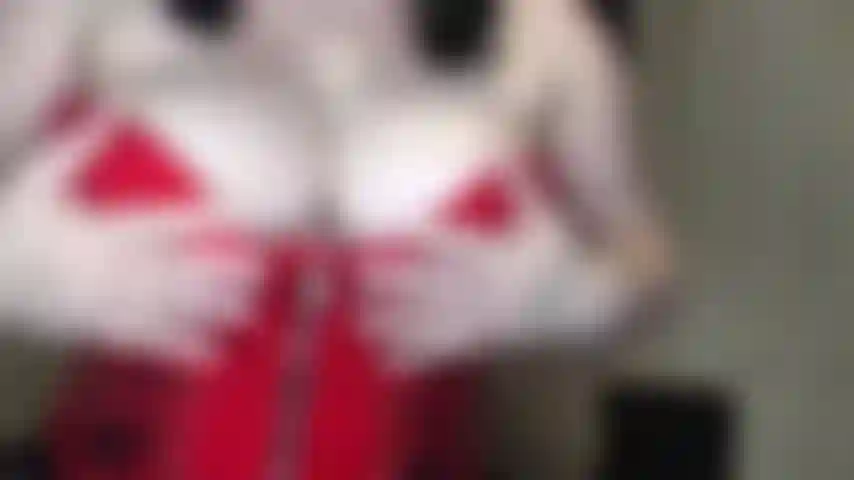 Vá à falência pelos meus seios.