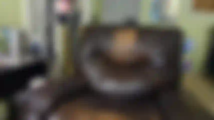 Enfiando meu vibrador Lovense no meu buraco.