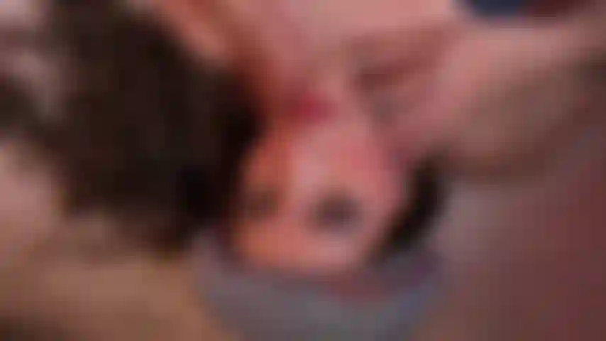 Provocando, vídeo hd! Vamos brincar!!!