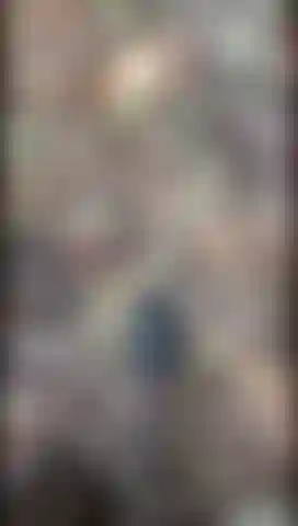 Walking in leaves shoes on