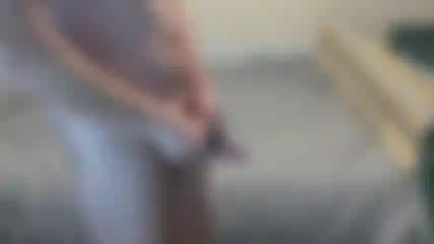 Cockringmorningwood.