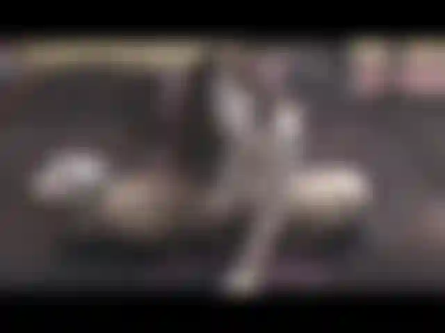 Bichano pierce agachado no meu brinquedo, cavalgando com força e depois enchendo minha calcinha.