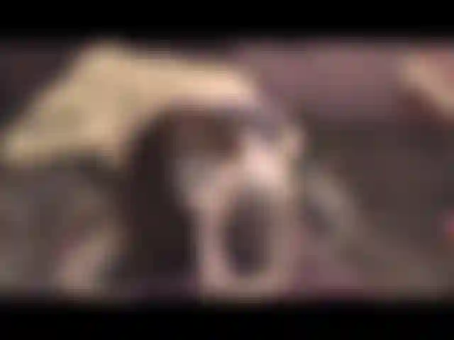 Pov bj de joelhos, de lingerie, conversa suja.