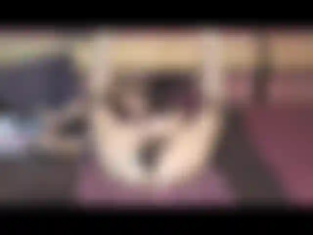 Parte dois do meu jogo de rpg impertinente, divertido! De costas, estilo cachorrinho, montando, etc.