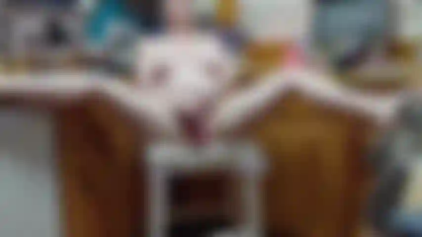 Observe um kinkster habilidoso me fazer esguichar na minha cozinha.