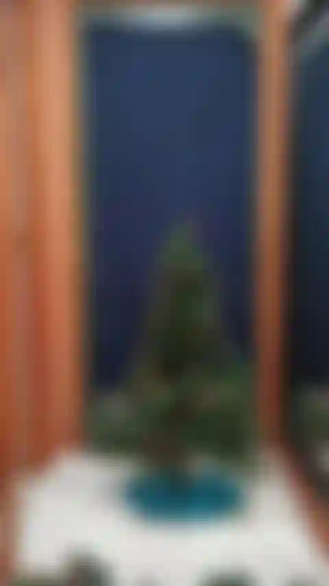 Decorando árvore de natal.