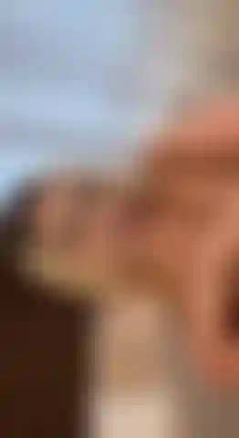 Meus peitos na sua cara! Mexe neles! Chupa eles!