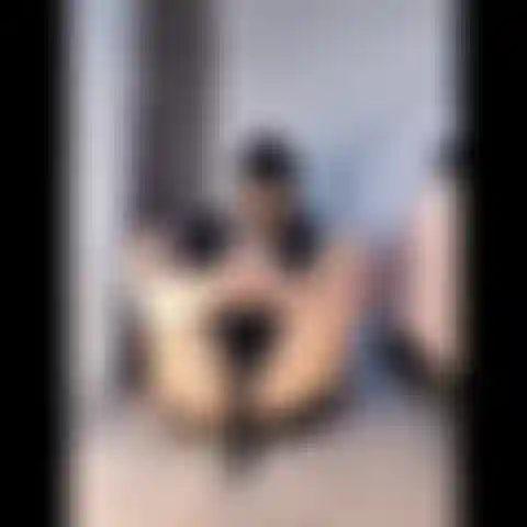 Deslize seu pau sobre meus pés.