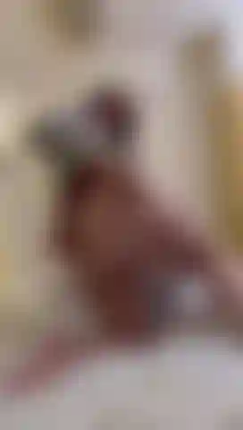 Giant Ass Worshipper Needed! Red and Black lace French knickers pulled down so you can watch me twerk down on your hard cock!