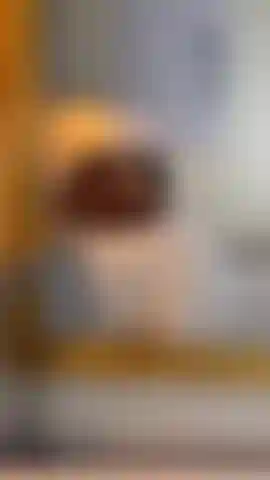 I want to suck your cock very deep while I