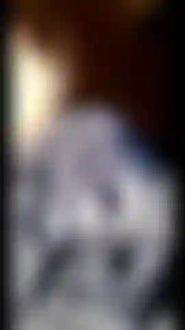 SUPER ALPHA COCK
