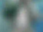 Um dia acordei e filmei isso.