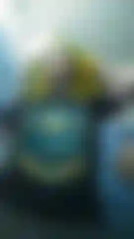 Curta me conhecer melhor.