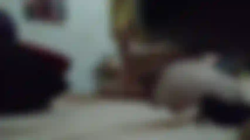 Naruko faz cosplay se masturbando com pelúcias. Mp4.