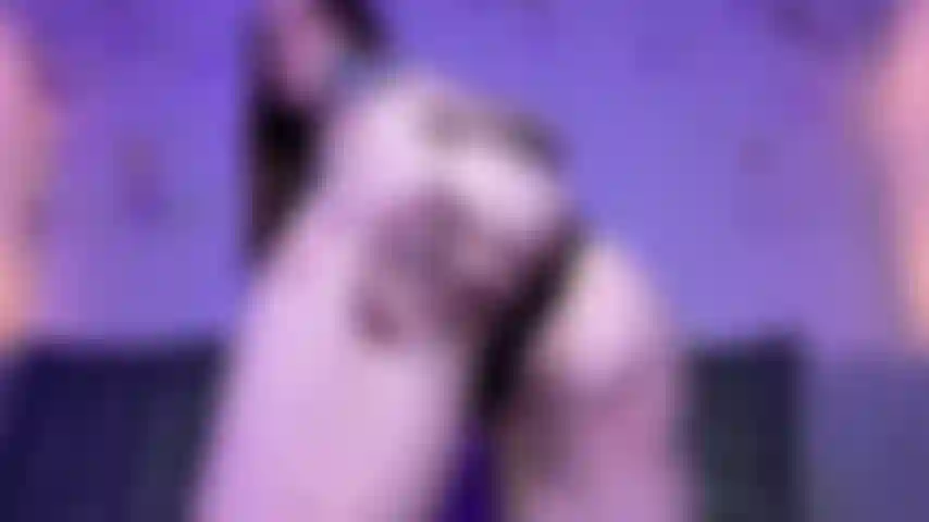 Carretel de borda de adoração de bunda.