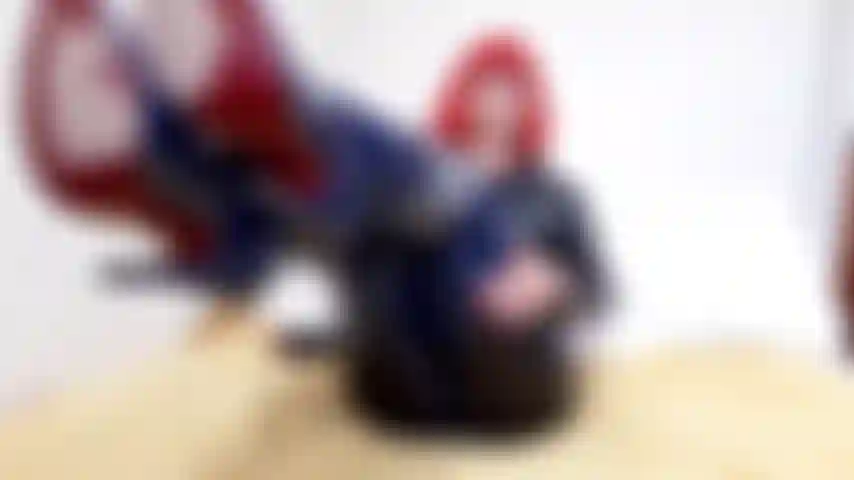 Dp anal de cadela com botas catsuited com 2 buracos esticados totais da bbc!