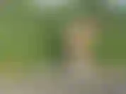 Posando nua nos campos da irlanda.