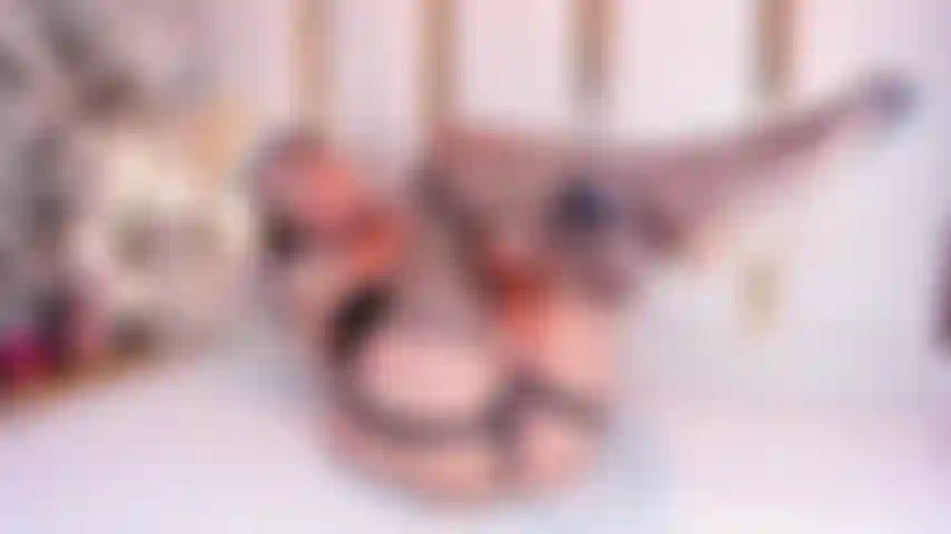 Santa's Forbidden Gift