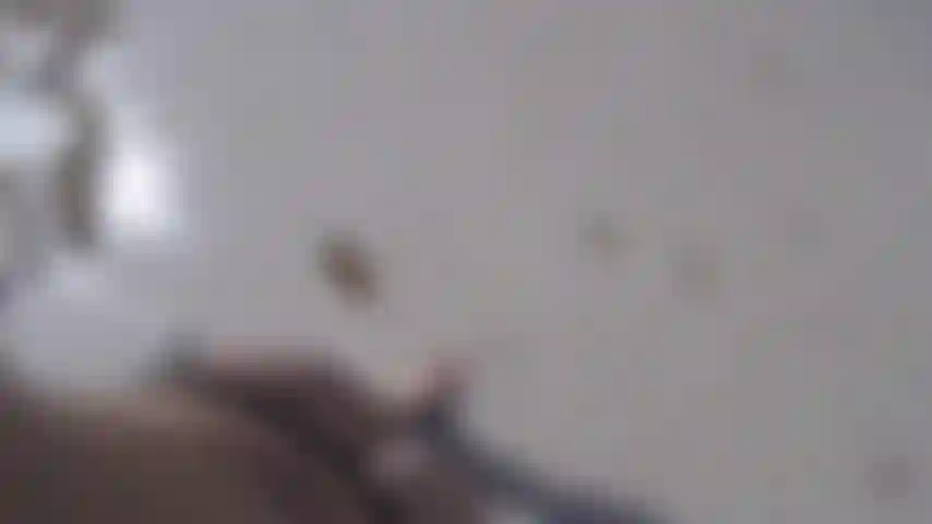 Meus pés nos caracóis para meu fetiche por pés.