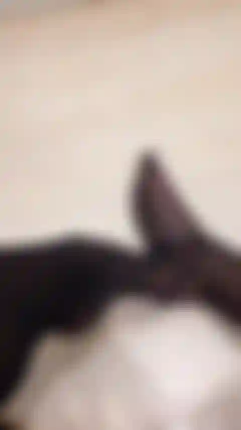 Fan de bas nylon regale toi.