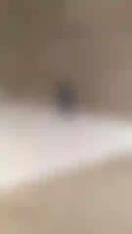 Doggystyle no chuveiro eu lavo e acaricio minha buceta. Close-up de buceta e ânus para você.