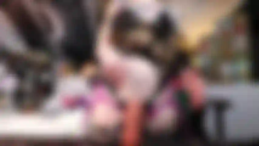 Namorada gótica te pega.