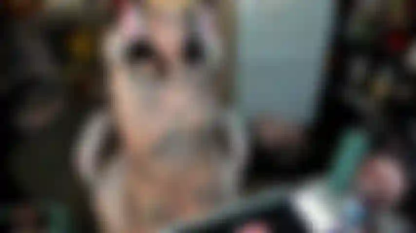 Gamer se masturba pra você e dá bj bagunçado.