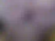 Nua c/ meias brancas. A fantasia de milf ao lado, onde eu digo que adoraria ter você como minha vizinha e vir me foder. Muita alegria, conversa suja, dizendo para você acariciar seu pau jovem e gozar.