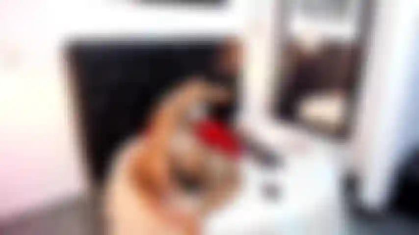 Show anal!! Seu saque favorito.