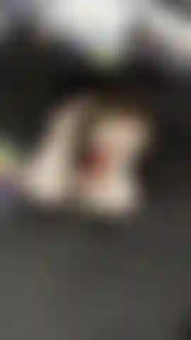 Wilder Dreyes sucking and fucking her 12 inch monster cock