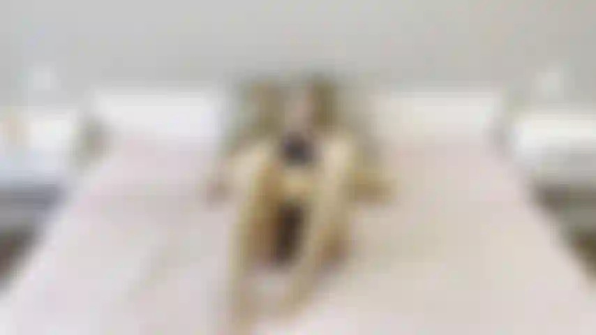 Solo 08/01/2023. Adoro ver como brinco com meu vibrador e fico com aquela bucetinha super cremosa?