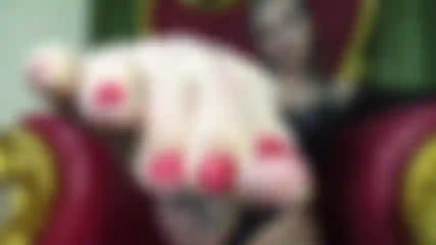 Pervertida por pés, asmr.